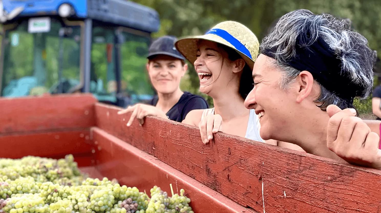 Zoom sur le Domaine de Blanville : Un trio féminin à la tête d'un vignoble d'exception